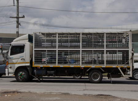 CAGE LORRIES